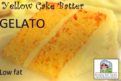 Yellow Cake Batter Gelato